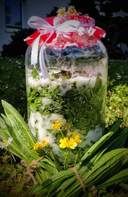 Zdravý skorocelový sirup