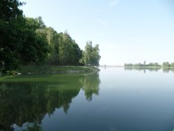 SAM_0913