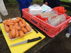 Jarná brigáda - 02