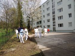 Jarná brigáda - 04