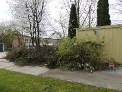 Jarná brigáda - 07