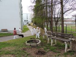 Jarná brigáda - 09