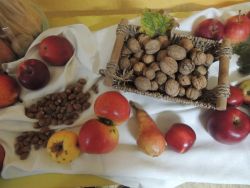 Plodobranie šiesta základná škola 2018