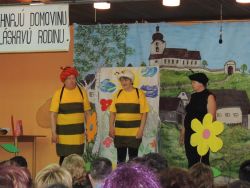 Kultúrne vystúpenie