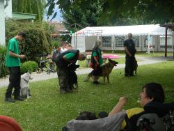 DSCN6181