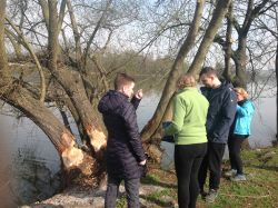 Jarná prechádzka - IMG_3027