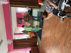 IMG_9082 opr