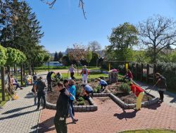 Oživenie bylinkovej záhradky - 20230504_094336
