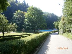 P6110096
