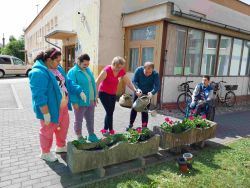 Jarné sadenie kvetín - 20250514_102845