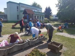 Jarné sadenie kvetín - 20250514_103618