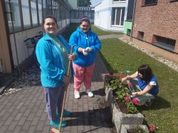 Jarné sadenie kvetín - 20250514_104540