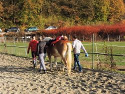 Ukončenie sezóny hipoterapie - 4