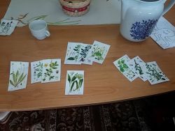 14572739_1226126920751902_1846972934_o