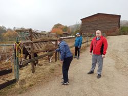 Jesenné aktivity - IMG_20241029_102150