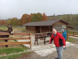 Jesenné aktivity - IMG_20241029_102542